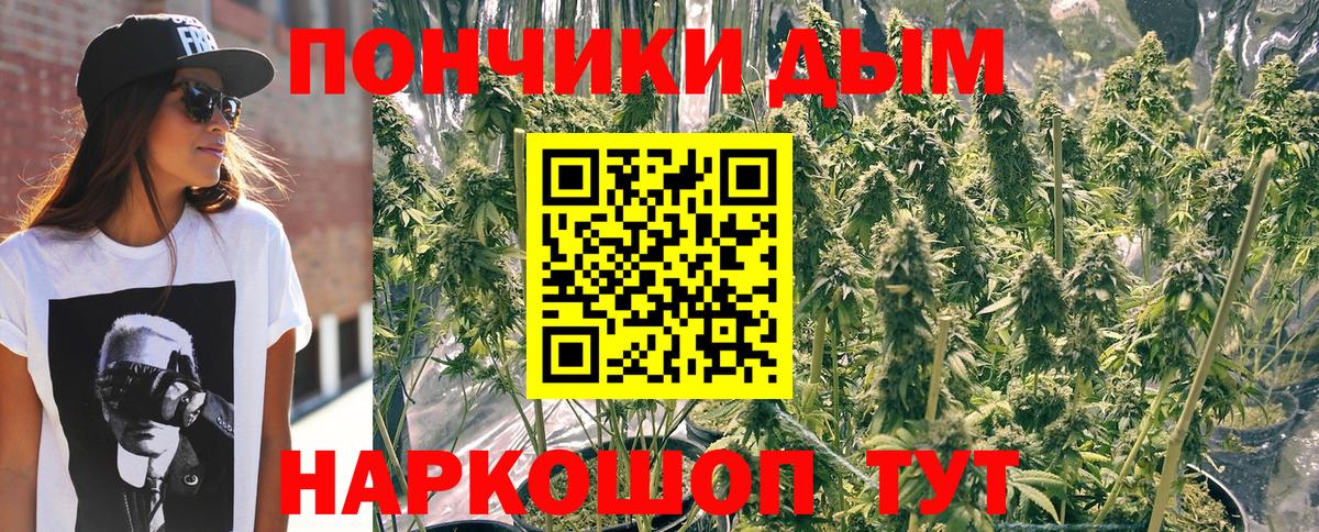 Шишки марихуана индика Сатка